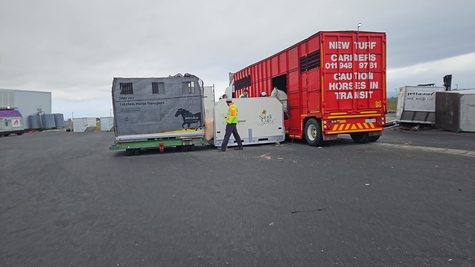 Direct export of horses to the EU resumes after 14 years, a boost for