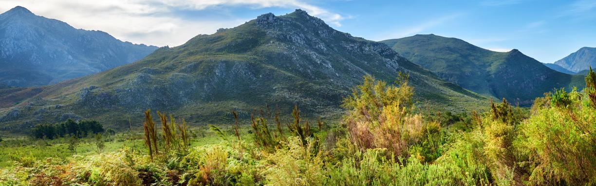 Mountain and nature