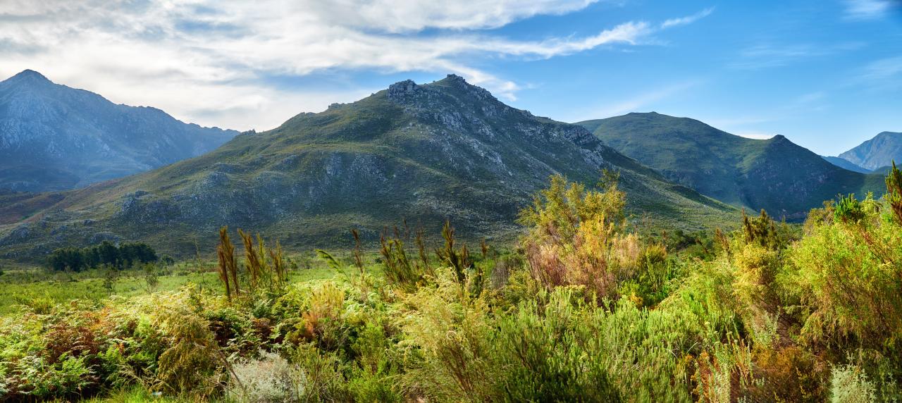 Mountain and nature