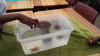 touch_pool