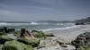 walker_bay_nature_reserve