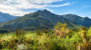 Mountain and nature