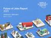 WEF Future of jobs insights report May 2023