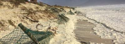 caption_coastal_erosion_along_woodbridge_island_credit_darryl_colenbrander.jpeg
