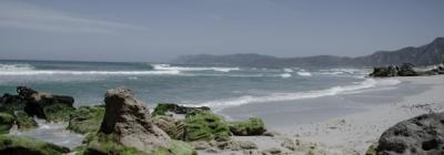 walker_bay_nature_reserve