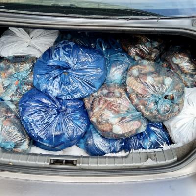 crayfish arrest by provincial traffic boosts wc safety efforts