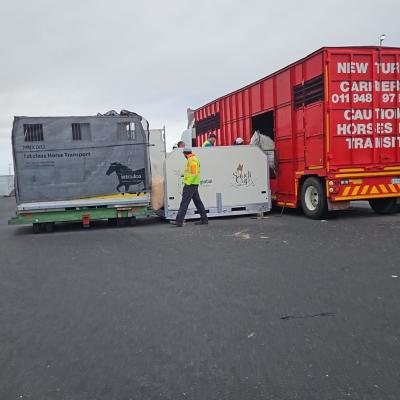 great_care_being_taken_as_horses_are_loaded.