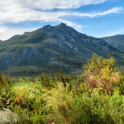 Mountain and nature